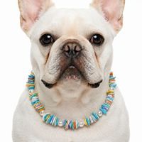 Rainbow Sunshine Shell Pet Necklace