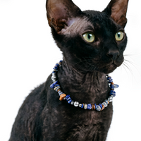 Midnight Lapis Luxe Pet Necklace
