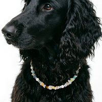 Candy Gemstone Delight Pet Necklace