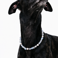 Opaline Glow Pet Necklace