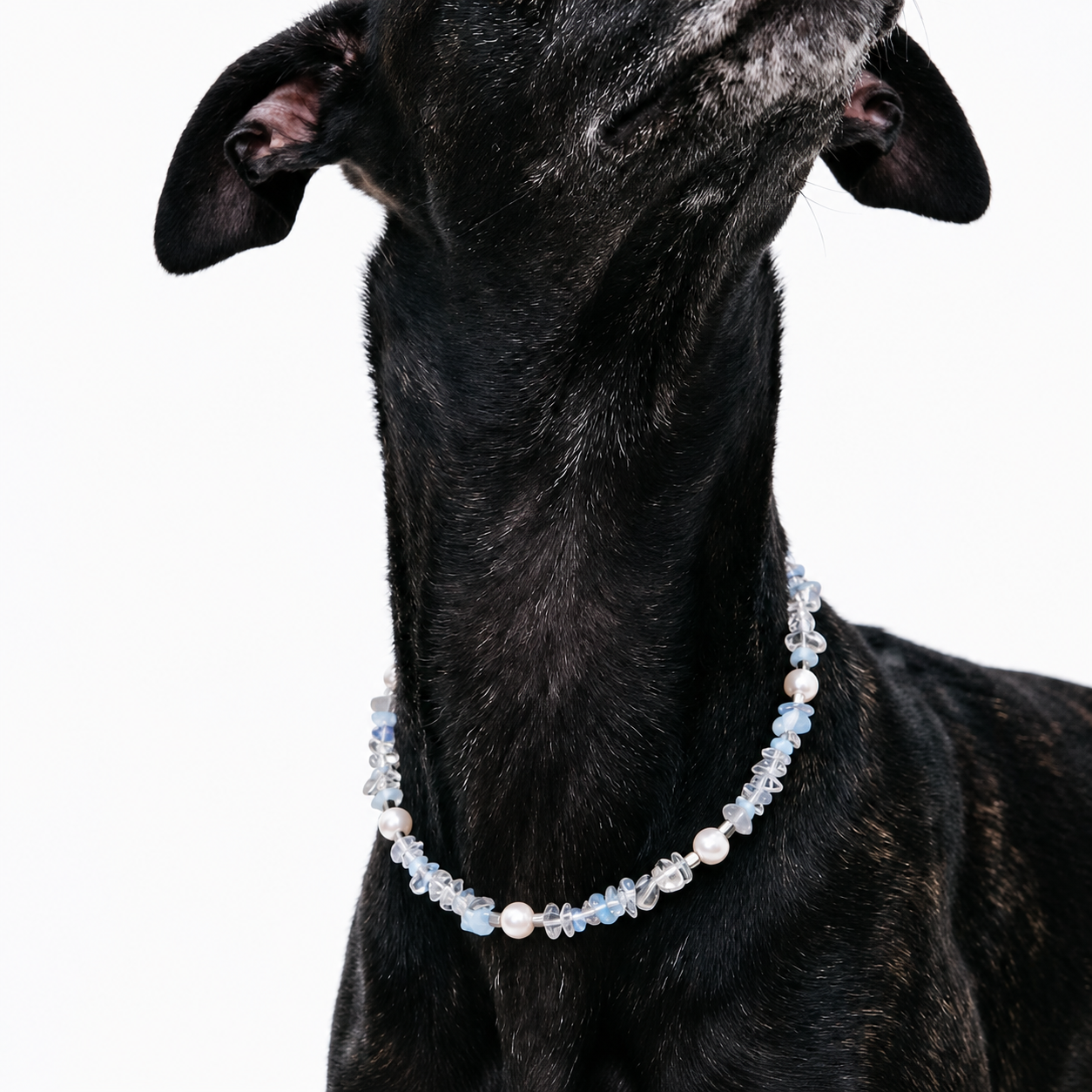 Opaline Glow Pet Necklace