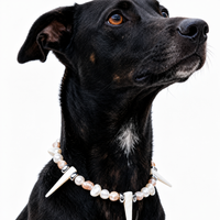 Black Panther Society Pearl Collar