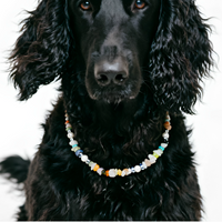 Candy Gemstone Delight Pet Necklace