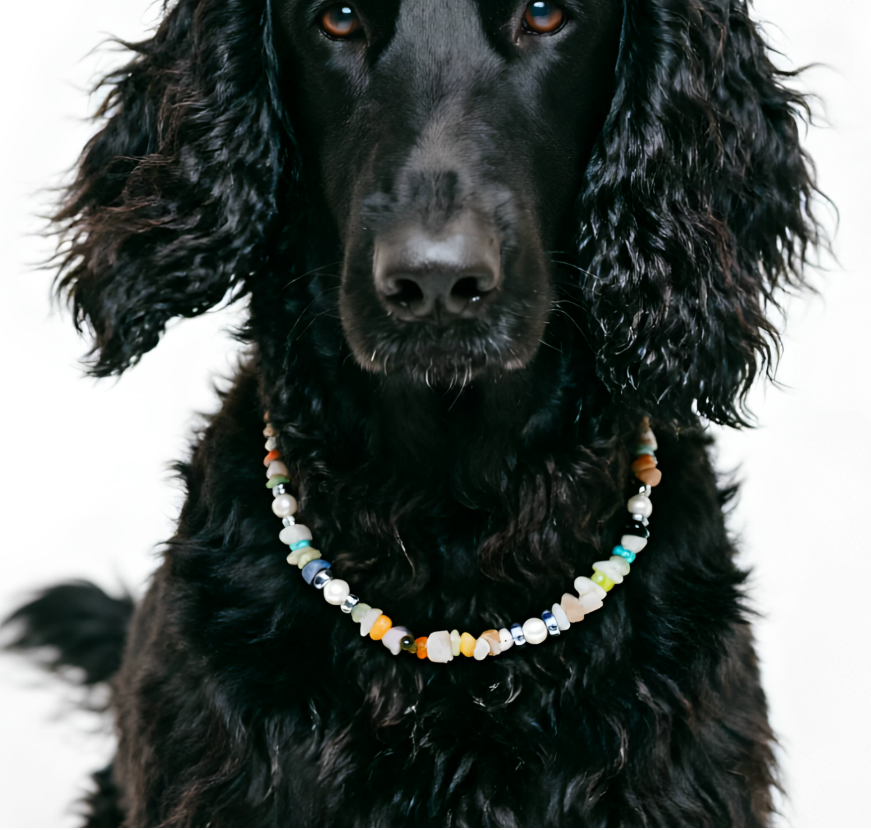 Candy Gemstone Delight Pet Necklace