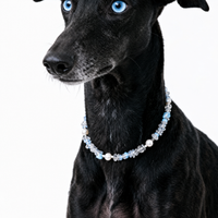 Opaline Glow Pet Necklace