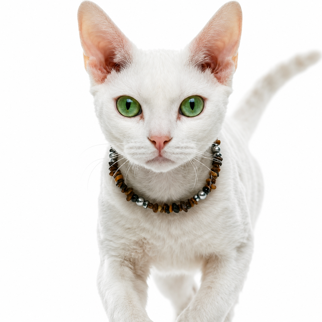 Desert Dune Sandstone Pet Necklace