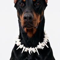 Classic Pearl Essence Pet Necklace