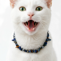 Midnight Lapis Luxe Pet Necklace