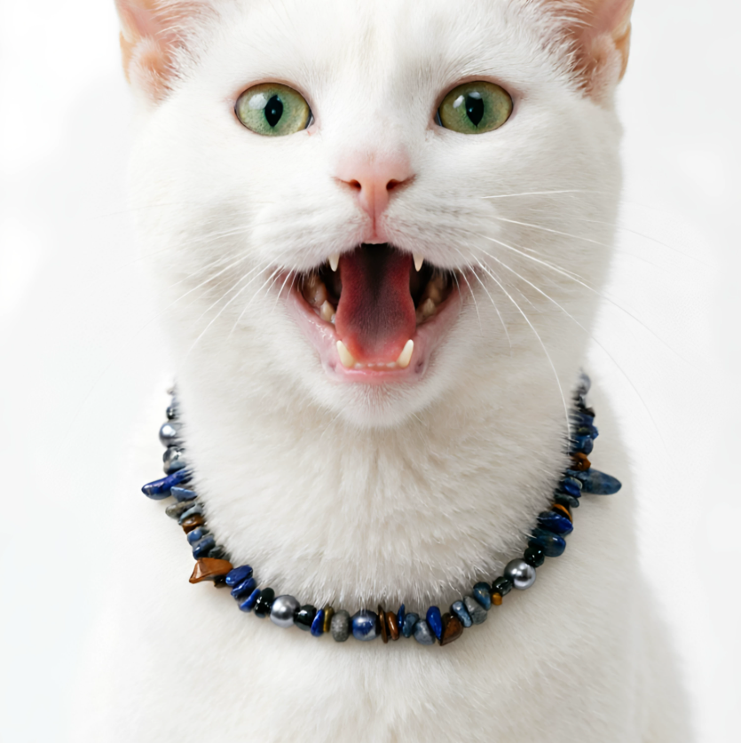 Midnight Lapis Luxe Pet Necklace
