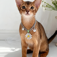 Imperial Tassel Heritage Pet Necklace