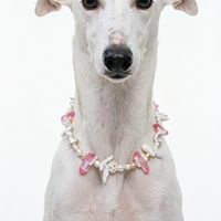 Verdant Luxe Crystal Pet Necklace