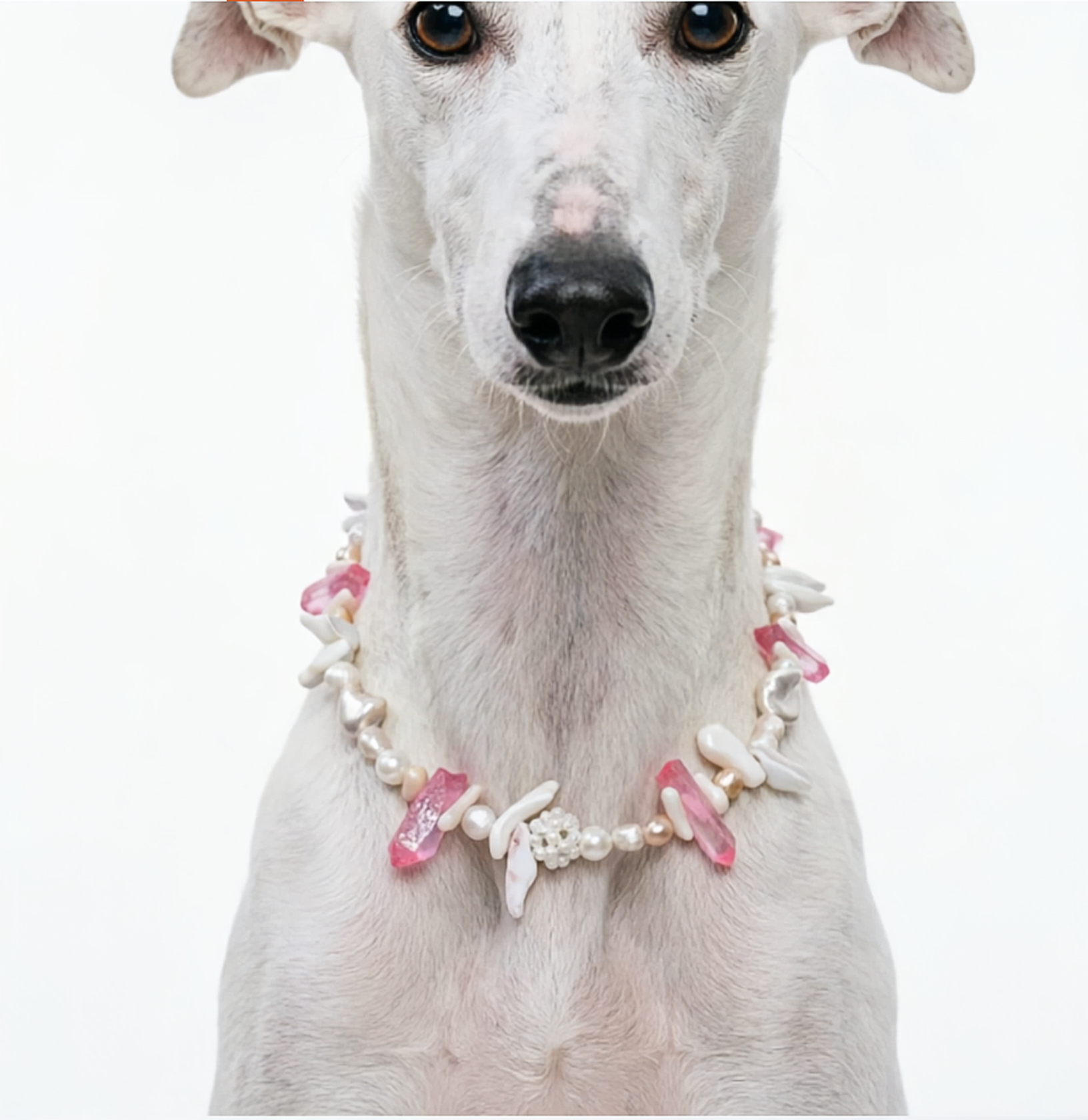 Verdant Luxe Crystal Pet Necklace