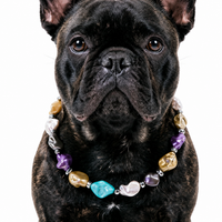 Sunwashed Shore Mixed-Bead Pet Necklace