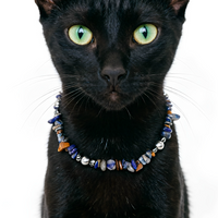 Midnight Lapis Luxe Pet Necklace