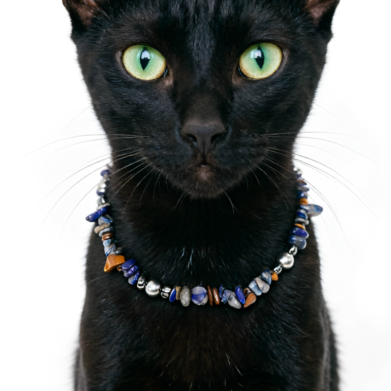 Midnight Lapis Luxe Pet Necklace