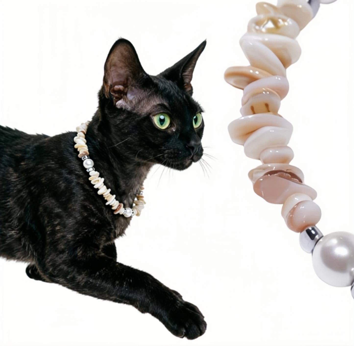 Ocean Treasure Shellstone Pet Necklace