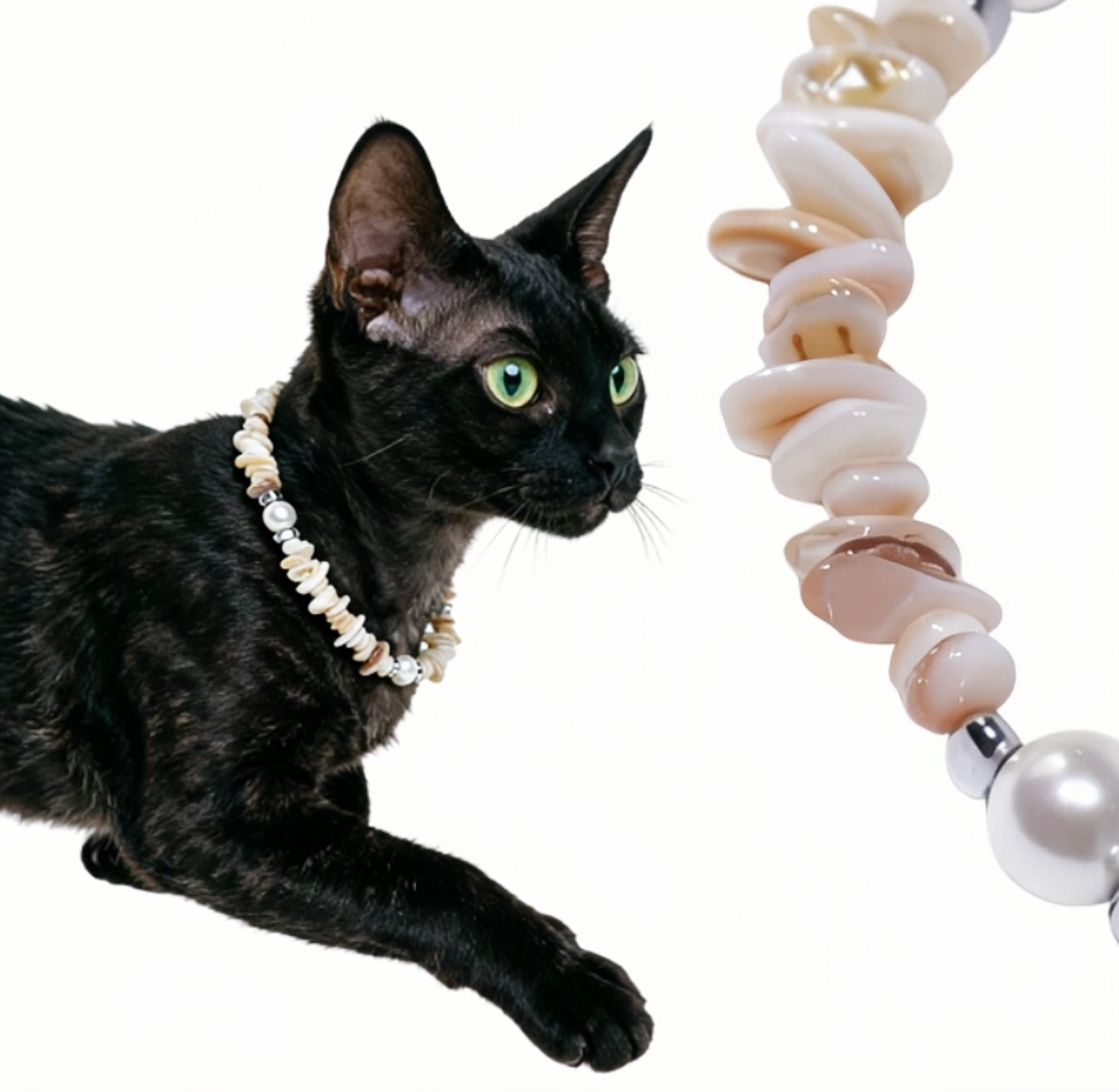 Ocean Treasure Shellstone Pet Necklace