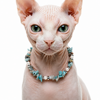 Summer Sorbet Crystal Pet Necklace