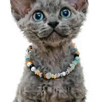 Candy Gemstone Delight Pet Necklace