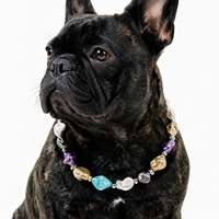 Sunwashed Shore Mixed-Bead Pet Necklace
