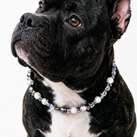 Prism Burst Statement Pet Necklace