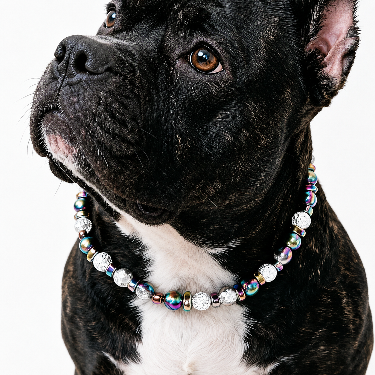 Prism Burst Statement Pet Necklace